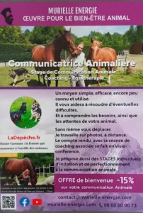 communication-animale-murielle-energie