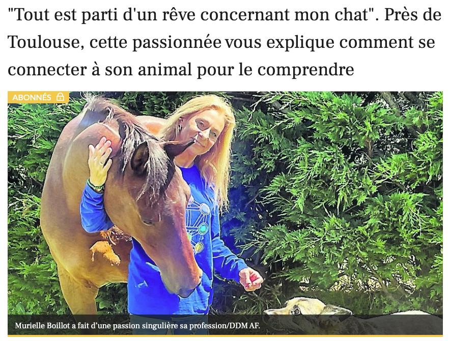 article ladépeche