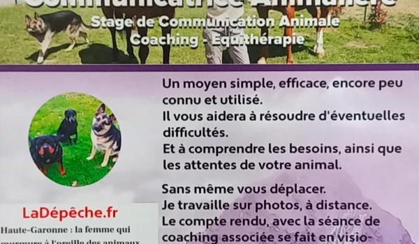 communication-animale-murielle-energie